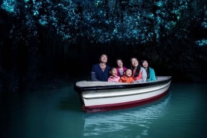 Au départ d'Auckland : Excursion d'une journée au ver luisant de Waitomo et aux grottes de Ruakuri