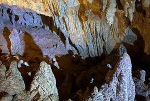 Da Auckland Waitomo Glowworm & Cave Explorer Tour Privato