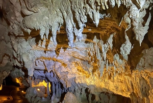 Z Auckland Waitomo Glowworm & Cave Explorer Wycieczka prywatna