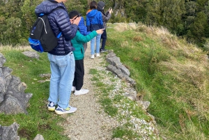 Desde Auckland Excursión Privada al Explorador de Cuevas y Luciérnagas de Waitomo