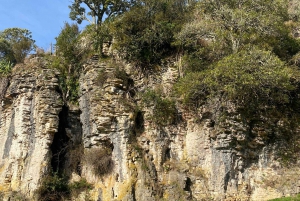 Da Auckland Waitomo Glowworm & Cave Explorer Tour Privato