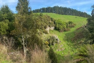 Från Auckland Waitomo Glowworm & Cave Explorer Privat tur