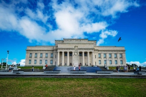 Dagvullende tour met de auto door Auckland Stad & Regenwoud