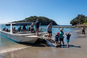 Isla de las Cabras: Tour en barco con fondo de cristal