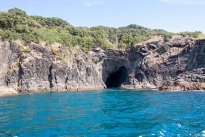 L'île de Goat : Tour en bateau à fond de verre