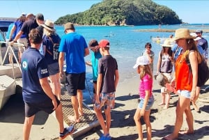 Isla de las Cabras: Tour en barco con fondo de cristal