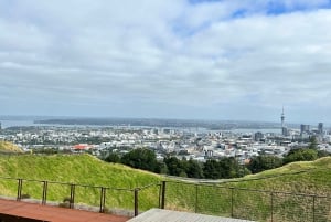 Corazón de Auckland: Tour privado de medio día por la ciudad