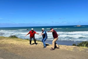 Corazón de Auckland: Tour privado de medio día por la ciudad