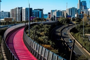 Corazón de Auckland: Tour privado de medio día por la ciudad