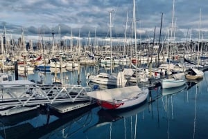 Corazón de Auckland: Tour privado de medio día por la ciudad