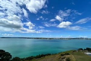 Il cuore di Auckland: Tour privato di mezza giornata della città