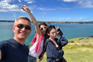 Corazón de Auckland: Tour privado de medio día por la ciudad