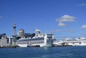 Corazón de Auckland: Tour privado de medio día por la ciudad