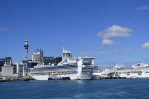 Corazón de Auckland: Tour privado de medio día por la ciudad