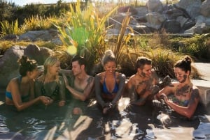 HELL'S GATE Mud Spa, Rotorua - Gruppedagstur fra Auckland