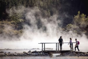 HELL'S GATE Mud Spa, Rotorua - Excursion de groupe d'une journée à partir d'Auckland