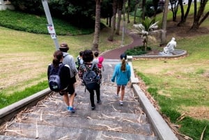 Vandring i små grupper på Hidden Auckland