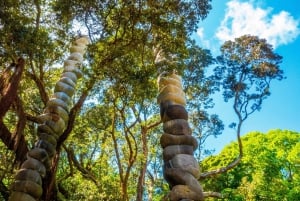 Vandring i små grupper på Hidden Auckland