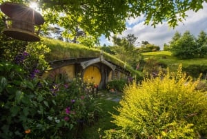 Excursão ao cenário do filme Hobbiton para Blue Springs e cavernas Waitomo