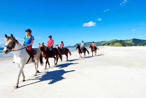 Horse Riding, Wine Tasting & Art Trail Private Tour