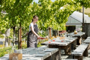 Tour privato di equitazione, degustazione di vini e percorsi d'arte