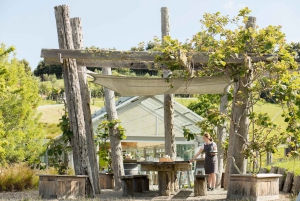 Passeio a cavalo, degustação de vinhos e tour particular de trilhas artísticas