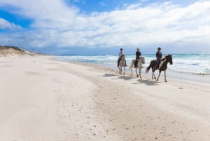 Passeio a cavalo, degustação de vinhos e tour particular de trilhas artísticas