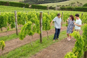 Randonnée à cheval, dégustation de vin et visite privée de la route des arts