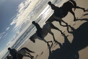 Passeio a cavalo, degustação de vinhos e tour particular de trilhas artísticas