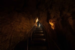 WAITOMO GLOWWORM & RUAKURI CAVES-PRIVATE TOUR FROM AUCKLAND