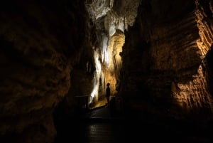 WAITOMO GLOWWORM & RUAKURI CAVES-PRIVATE TOUR FROM AUCKLAND