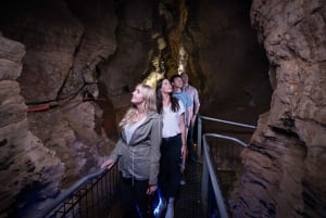 WAITOMO GLOWWORM & RUAKURI CAVES-PRIVATE TOUR FROM AUCKLAND