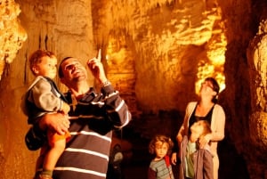 WAITOMO GLOWWORM & RUAKURI CAVES-PRIVATE TOUR FROM AUCKLAND