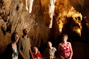 WAITOMO GLÜHWÜRMCHEN & RUAKURI HÖHLEN - PRIVATE TOUR AB AUCKLAND