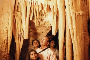 WAITOMO GLOWWORM & RUAKURI CAVES-PRIVATE TOUR FROM AUCKLAND