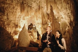 WAITOMO GLOWWORM & RUAKURI CAVES-PRIVATE TOUR FROM AUCKLAND