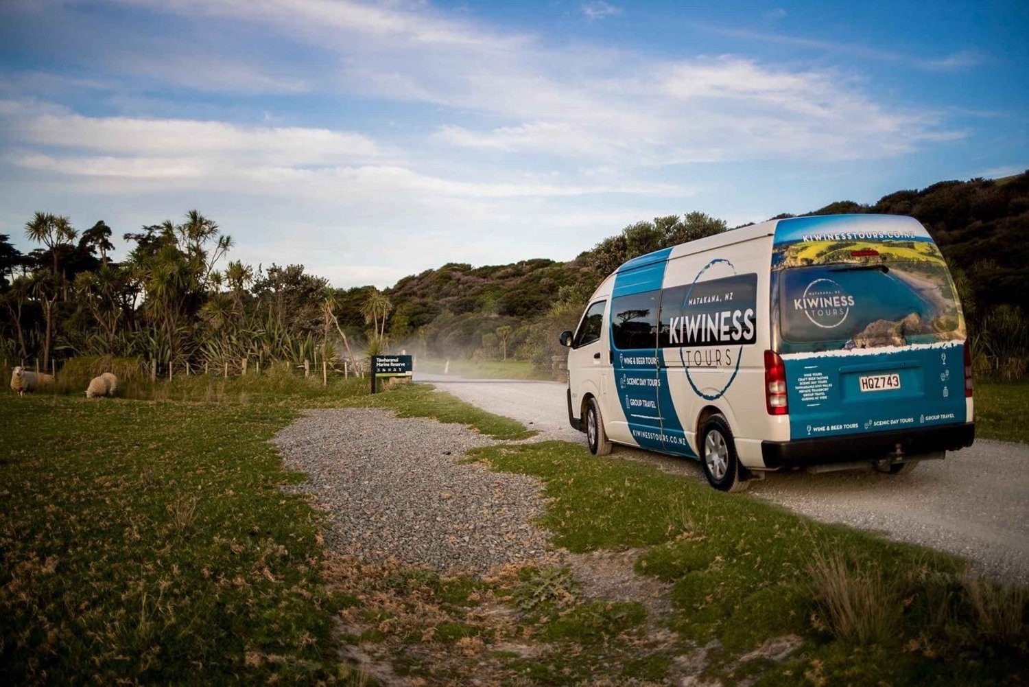 Kiwiness Tours - Excursion célèbre pour les kiwis du nord d'Auckland