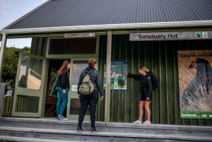 Kiwiness Tours - Famoso passeio de Kiwi ao norte de Auckland