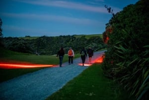 Kiwiness Tours - Famoso passeio de Kiwi ao norte de Auckland