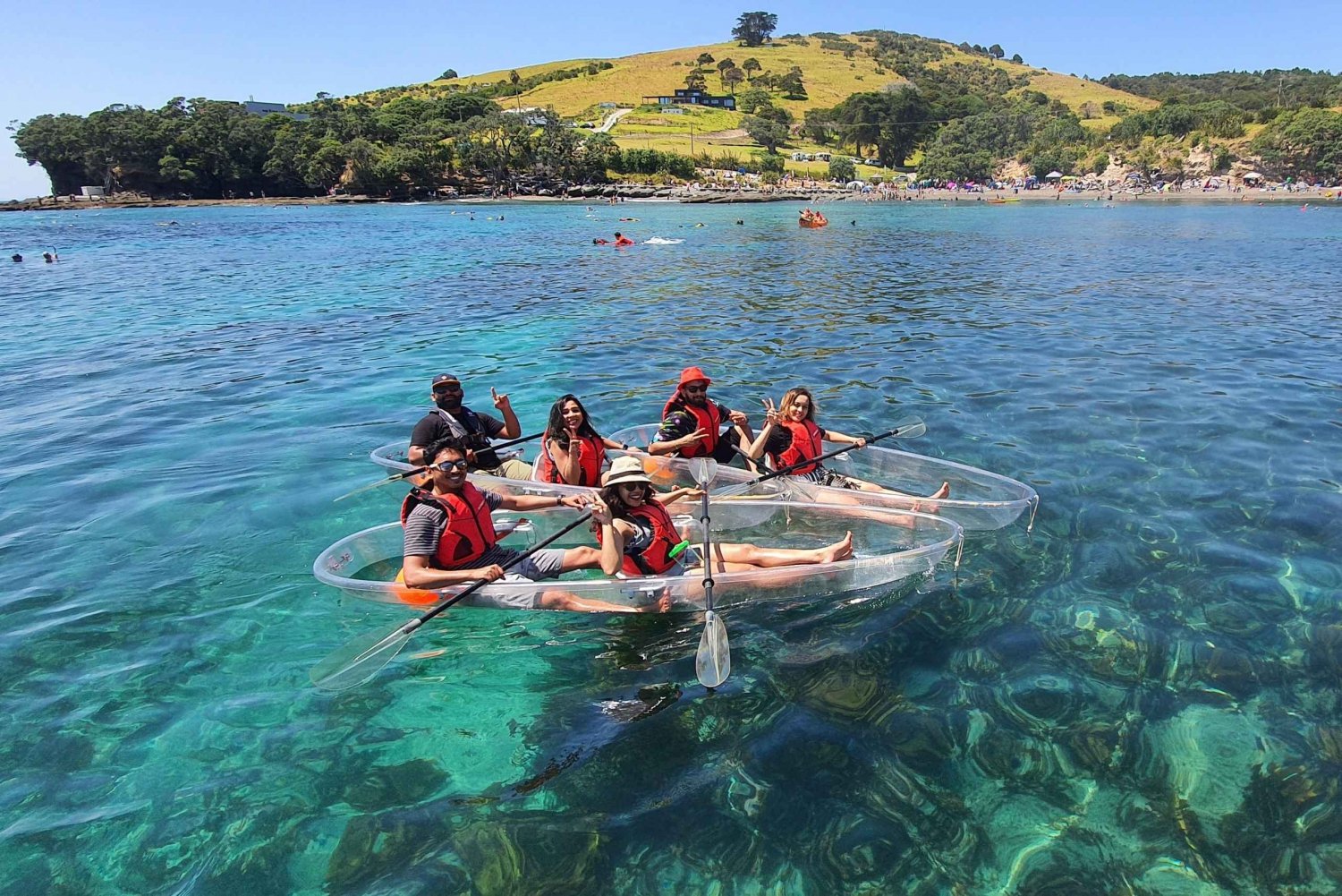 Leigh: Noleggio Kayak Goat Island Clear