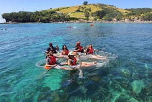 Leigh: Goat Island Clear Kayak vuokraus