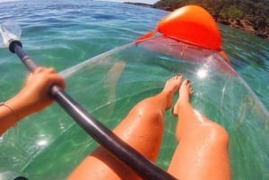 Leigh : Location de kayaks transparents sur l'île de Goat