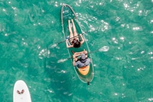 Leigh : Location de kayaks transparents sur l'île de Goat