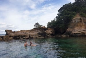 Leigh: Goat Island Clear Kayak vuokraus