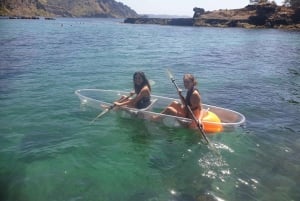 Leigh : Location de kayaks transparents sur l'île de Goat