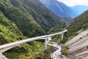 Milford Sound, Mount Cook och mer: 4-dagars tur från Auckland