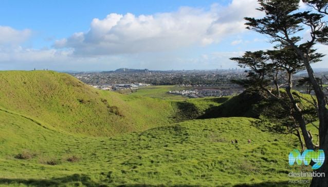 Free Things To Do In Auckland