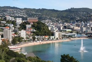 New Zealand: Auckland to Wellington 3-Day Tour via Rotorua