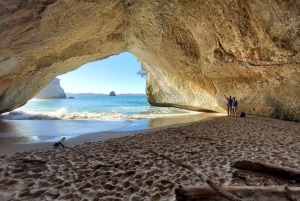 Nueva Zelanda: Excursión guiada de 17 días por la Isla Norte con acampada