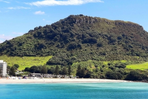 Nueva Zelanda: Excursión guiada de 17 días por la Isla Norte con acampada